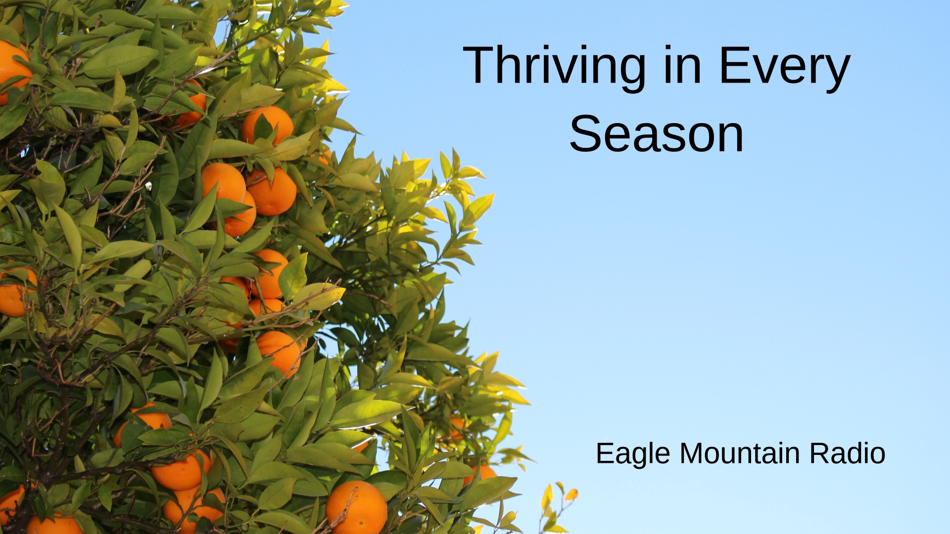 Thriving in Every Season